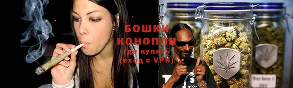 PSILOCYBIN Ладушкин