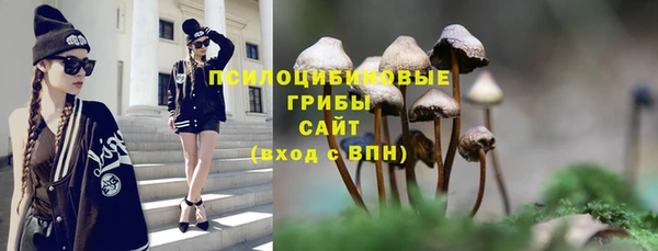 PSILOCYBIN Ладушкин