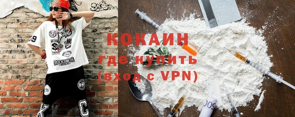 PSILOCYBIN Ладушкин