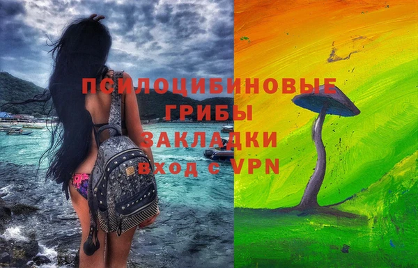 PSILOCYBIN Ладушкин