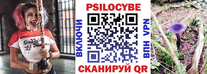 Купить закладки  Люберцы  Галлюциногенные грибы Psilocybe 