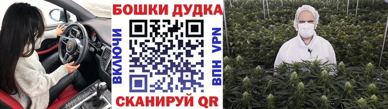 Купить  Люберцы  Бошки Шишки планчик 
